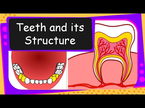 download lagu mp3 mp4 Download Teeth Clipart, download mp3 Download Teeth Clipart free download mp3, download mp3 Download Teeth Clipart