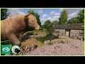 Cozy HIGHLAND CATTLE Cottage | Barnyard Special | Planet Zoo