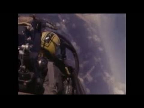 Sea Wings Collection - Tomcat Defender of the Fleet