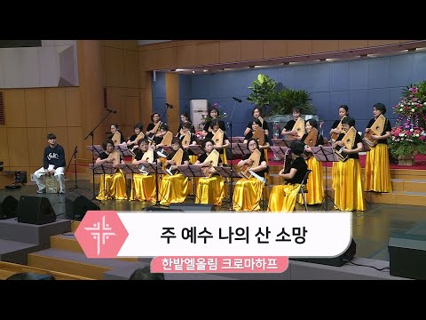 [25.11.23] 한밭엘올림 크로마하프 - 주 예수 나의 산 소망 대표이미지