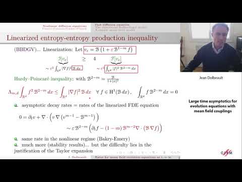 Jean Dolbeault: Large time asymptotics for evolution equations with mean field couplings