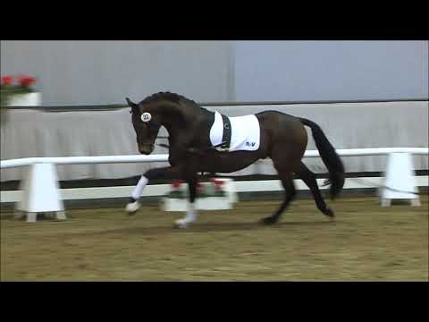 22 Südwind v. Symphonic / Floenciano