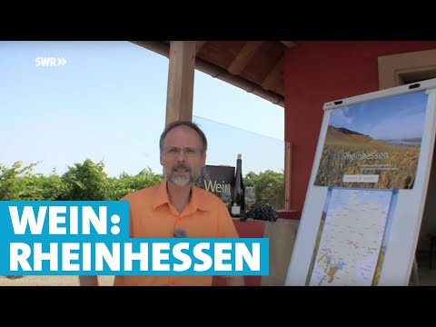 Werner erklärt Wein: Rheinhessen