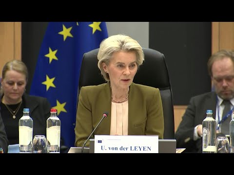 Video Thumbnail: EU must 'overcome polarisation' on farming by dialogue: von der Leyen | AFP