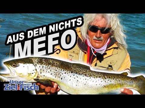SEARCH & TRICKS - SEA TROUT on the COAST - Our goal is fish - Fishing school with Jörg Ovens