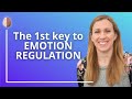 Emotional Regulation The First Step Identify Your Emotions Willingness