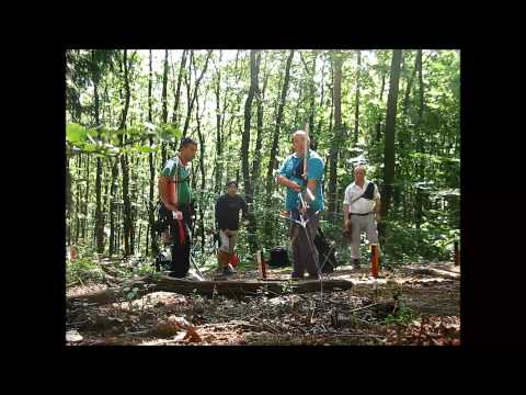 Sopron, Hungary, IFAC 2013, Day 5