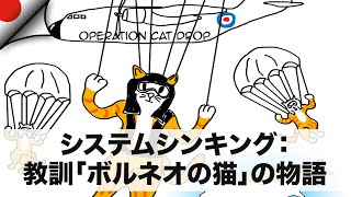 システムシンキング：教訓「ボルネオの猫」の物語