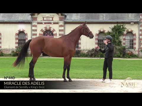 MIRACLE DES ADELIS