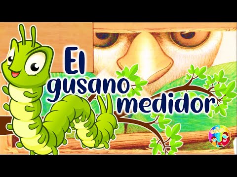 🌟EL GUSANO MEDIDOR#aprendeencasa