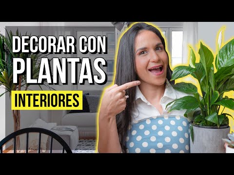 , title : 'MEJORES PLANTAS de INTERIOR para DECORAR tu HOGAR!'
