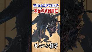 ゴグマジオス武器の本当の属性は何なのか？#モンハンワイルズ #モンハン雑学 #モンスターハンター