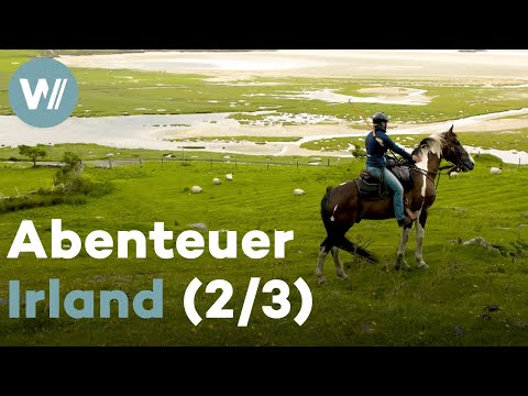 Wanderreiten entlang des Wild Atlantic Way - Die Planänderung | Abenteuer Irland (2/3)