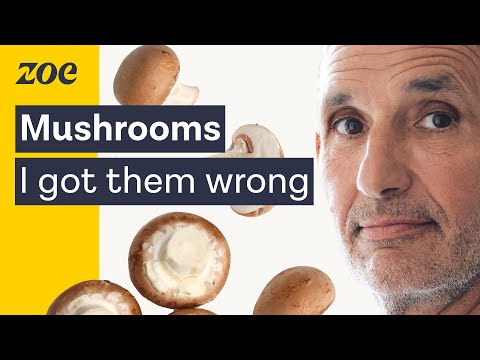 The amazing truth about mushrooms | Prof. Tim Spector