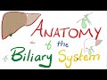 Anatomy of the Biliary System 🤮 | Quick Review