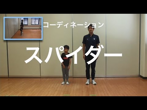 親子での運動遊び【コーディネーション：スパイダー】