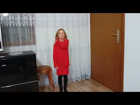 Sibora Brati Flamuri i pavaresise!!!