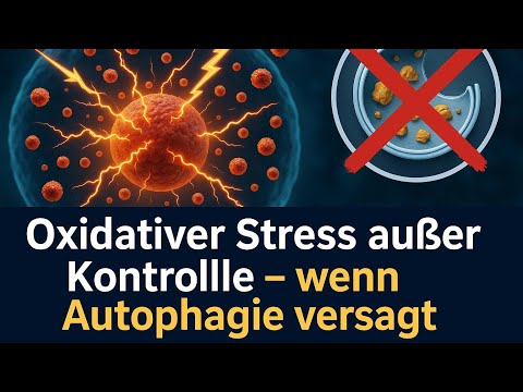 Fett, Stress und Zelltod: Autophagie macht den Unterschied