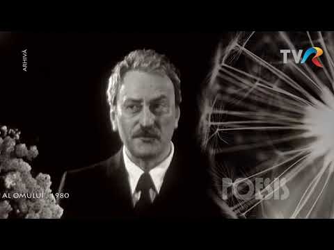 Amza Pellea recită Răscruce de Tudor Arghezi