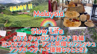 #074 [マレーシア] キャメロンハイランド後編　広大なフラワーガーデンと茶畑でリフレッシュ　アフタヌーンティーで優雅なひととき♪