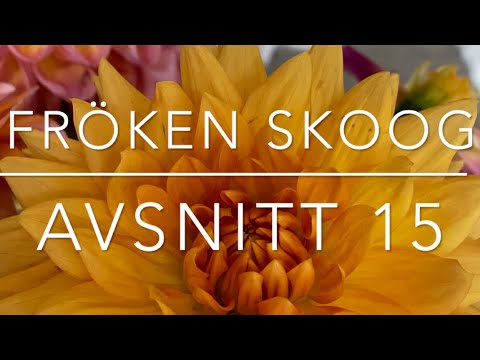 Avsnitt 15. Massor av inköp och en ny hobby.