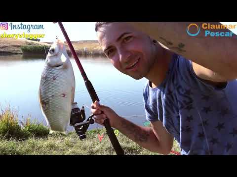 WE BROKE THE NORMS AT CARAS, BEAUTIFUL AUTUMN CATCH