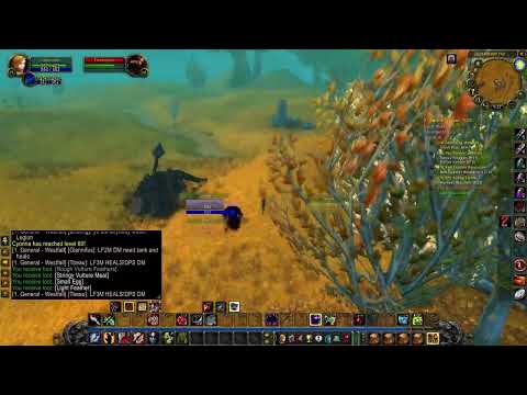 The Complete Warlock Leveling Guide for Classic World of Warcraft