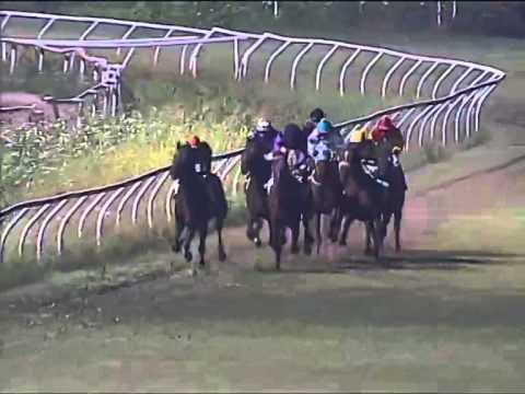 Galoppo 19/07/2014 - Corsa 7