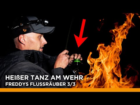 HIER KRACHT'S NACHTS am Wehr 🔥🤯 Freddys Flussräuber 3/3 Nachtangeln auf Döbel und Wels!