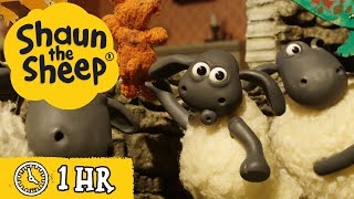 Download lagu Shaun the Sheep 🐑 Full Episodes 🎹 Timmy's Play and Musical Sheep 📷 Cartoons for Kids mp3