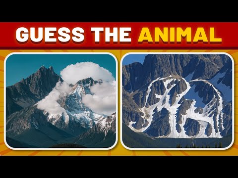 Guess the Hidden Animal by ILLUSION - Animal quiz | Squint your eyes