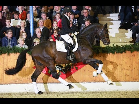 For Dance *2013 by For Romance - Rubiloh (Stallion Show Sosath 2018)