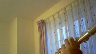 GReeeeN - Kiseki (flute version)