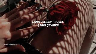 roses - lana del rey (türkçe çeviri)