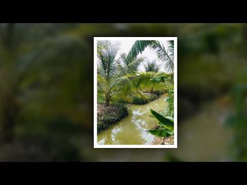 Nhà vườn giá rẻ ngay trung tâm TP Bạc Liêu - 0833.227473