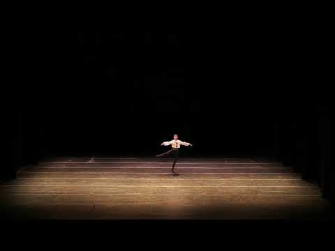 Harlequinade Male Variation