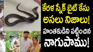 Uthra murder case: Video footage of dummy trial with snake out