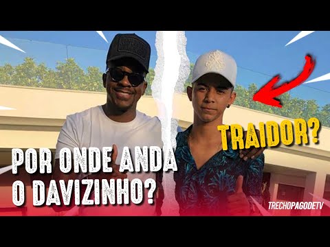 POR ONDE ANDA O DAVIZINHO?