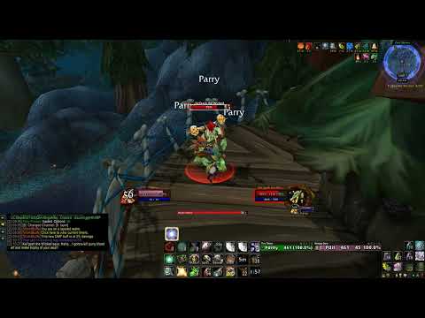 Level 1 Twink Paladin vs lvl 20 elite