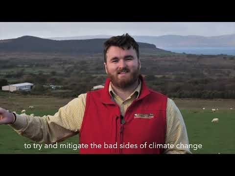 Farming with Field Cred - Wallace