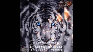 Download lagu story wa 30 detik.. macan putih / kodham paling berbahaya mp3