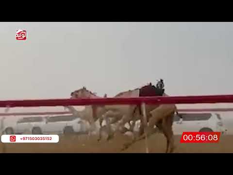   ش 5 (الشاهينيه) لـ سعيد محمد مبارك المهيري 2:16 , شارة الصندوق 2026/06/14 فطامين سويحان       