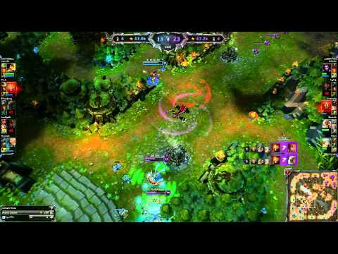 Nidalee the Legendary Janitor