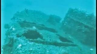 preview picture of video 'The Valiant Wreck Dive Palm Beach'