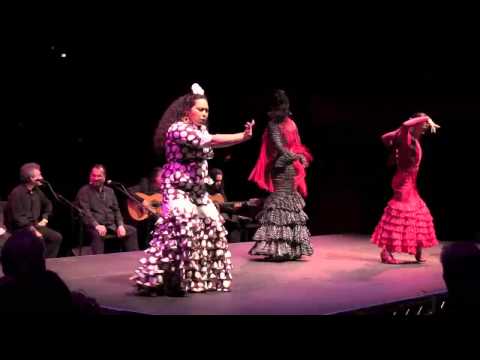 Flamenco Abierto   Alegrias