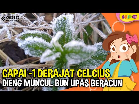 Berapa Suhu Nol Mutlak atau Nol Absolut? | Adjar