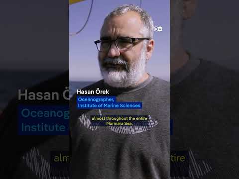 Can The Sea Of Marmara Be Saved? 🐟 | Dw Documentary