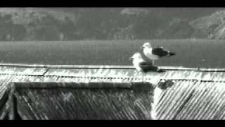 Ismael Serrano - Sin ti a mi lado