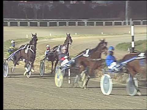 Trotto 05/02/2017 - 5ª corsa