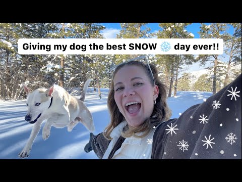 Taking my dog to see SNOW for the first time in 2 years!! ❄️☃️